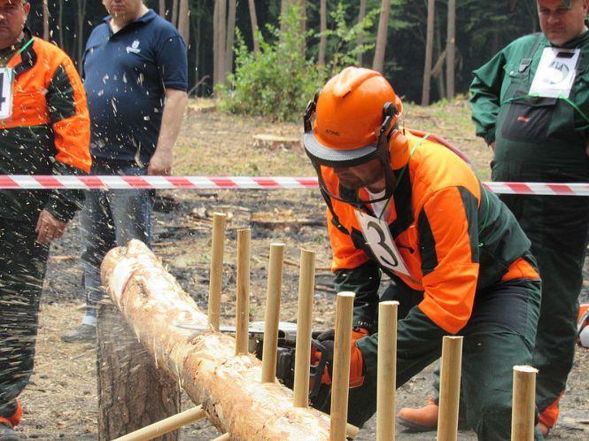 Новини Тернополя - фото з Хто на Тернопільщині найкраще валить ліс Хто на Тернопільщині найкраще валить ліс, фото №2 на сайті 20minut.ua