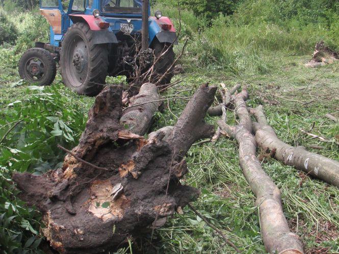 Новини Козятина - фото з В Сестринівці і Махаринцях рубали ліс, згідно лісорубного квитка В Сестринівці і Махаринцях рубали ліс, згідно лісорубного квитка, фото №2 на сайті 20minut.ua