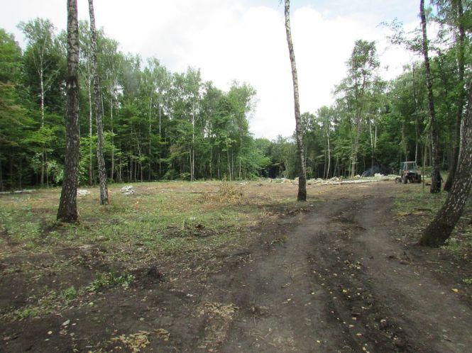 Новини Козятина - фото з В Сестринівці і Махаринцях рубали ліс, згідно лісорубного квитка В Сестринівці і Махаринцях рубали ліс, згідно лісорубного квитка, фото №5 на сайті 20minut.ua