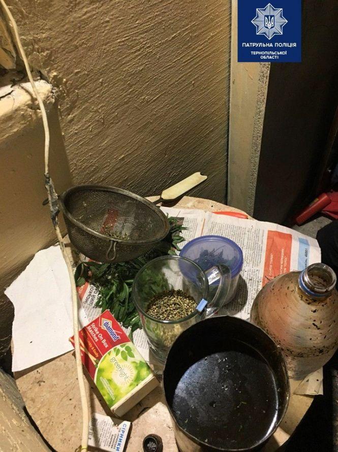 Новини Тернополя - фото з На балконі у вазонку тернополянин вирощував кущ конопель На балконі у вазонку тернополянин вирощував кущ конопель, фото №1 на сайті 20minut.ua