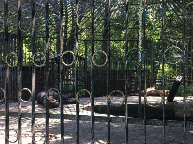 Чи закриють зоокуток у Хмельницькому? Реакція влади на рекордну петицію, фото №2 на сайті vsim.ua