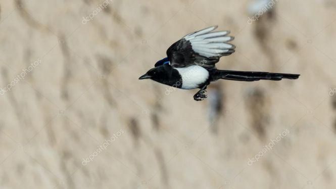 Цей день 3 серпня: чим увійшов в історію, цікавинки та прикмети, фото №3 на сайті 20minut.ua