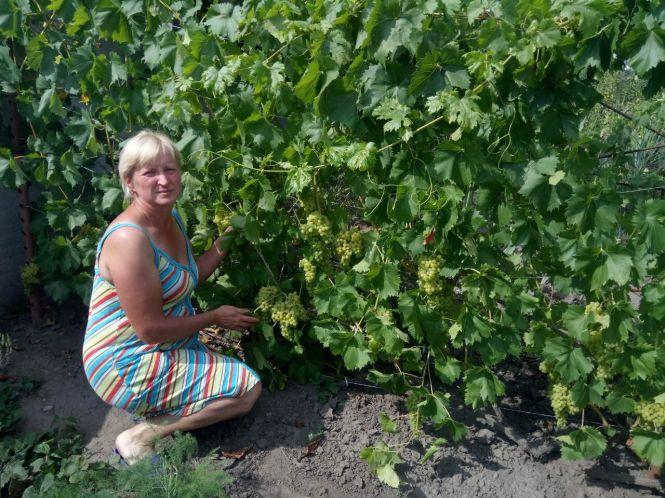 Новини Козятина - фото з Мріяла мати власний Едемський сад: козятинчанка вирощує екзотику Мріяла мати власний Едемський сад: козятинчанка вирощує екзотику, фото №2 на сайті 20minut.ua