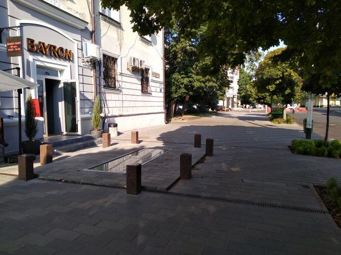 "Теплиця" на Бердичівській: у проваллі під склом в Житомирі уже розквітли квіти, а роботи так й не почалися, фото №1 на сайті 20minut.ua