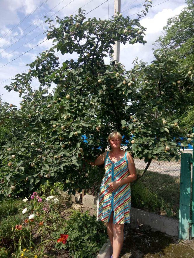 Новини Козятина - фото з Мріяла мати власний Едемський сад: козятинчанка вирощує екзотику Мріяла мати власний Едемський сад: козятинчанка вирощує екзотику, фото №4 на сайті 20minut.ua