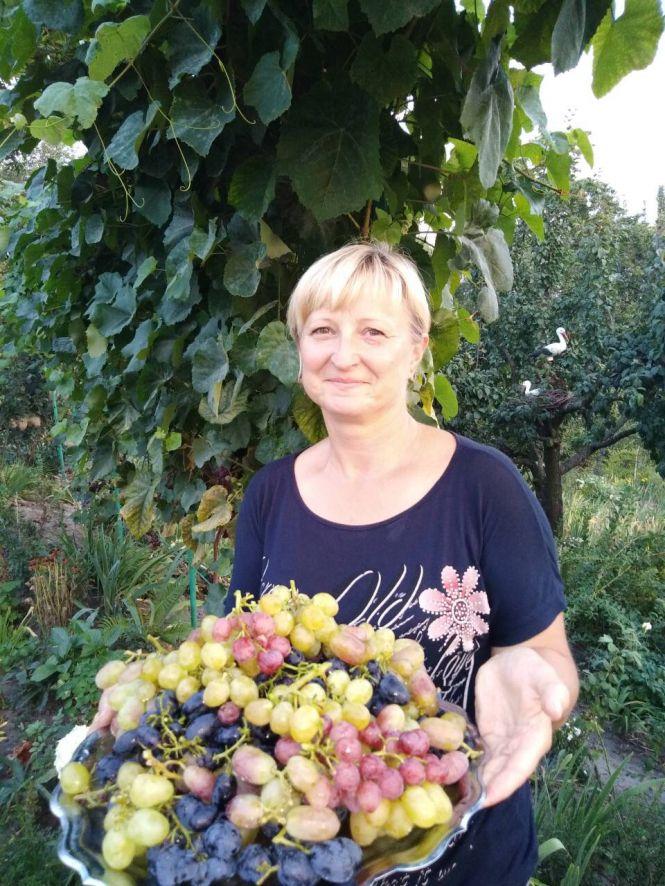 Новини Козятина - фото з Мріяла мати власний Едемський сад: козятинчанка вирощує екзотику Мріяла мати власний Едемський сад: козятинчанка вирощує екзотику, фото №3 на сайті 20minut.ua