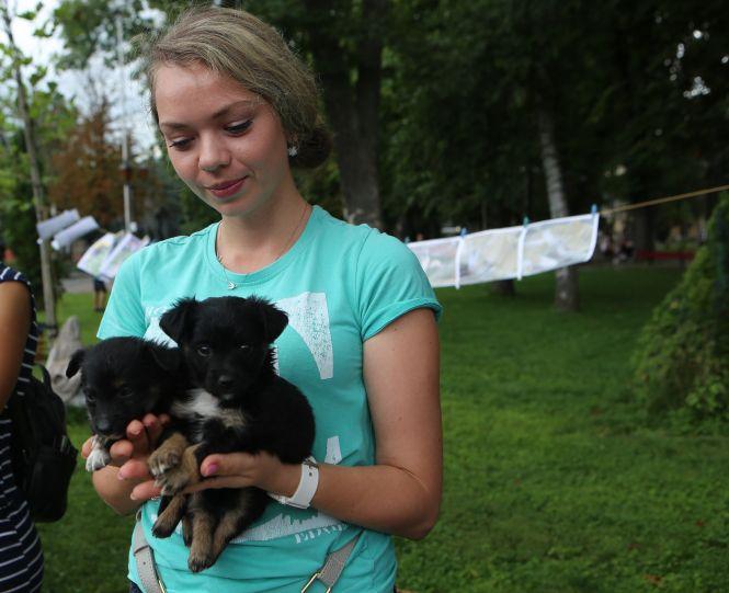 Новини Вінниці - фото з Місце, де можна знайти чотирилапих друзів. Як пройшов четвертий «Хвіст-Фест» Місце, де можна знайти чотирилапих друзів. Як пройшов четвертий «Хвіст-Фест», фото №1 на сайті 20minut.ua