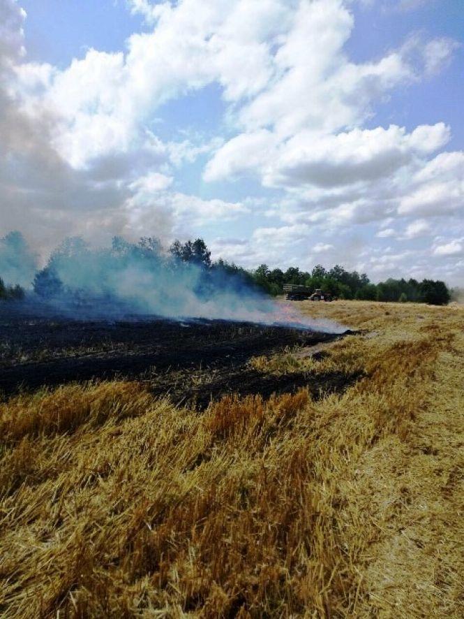 За час жнив на Житомирщині виникло 3 пожежі на полях із зерновими загальною площею 8,5 гектарів, фото №2 на сайті 20minut.ua