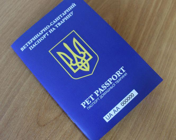 Новини Тернополя - фото з Змінилися правила перевезення домашніх котів і собак за кордон Змінилися правила перевезення домашніх котів і собак за кордон, фото №1 на сайті 20minut.ua
