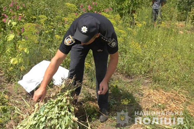 Новини Хмельницького - фото з На Хмельниччині пенсіонерка засіяла город снодійним маком "для кулінарних потреб" На Хмельниччині пенсіонерка засіяла город снодійним маком "для кулінарних потреб", фото №2 на сайті vsim.ua
