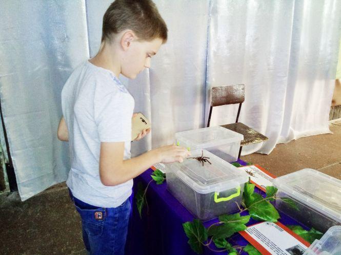 Новини Козятина - фото з Зі столиці привезли тропічних метеликів та 14 велетенських павуків (ФОТО) Зі столиці привезли тропічних метеликів та 14 велетенських павуків (ФОТО), фото №8 на сайті 20minut.ua