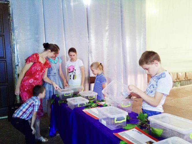 Новини Козятина - фото з Зі столиці привезли тропічних метеликів та 14 велетенських павуків (ФОТО) Зі столиці привезли тропічних метеликів та 14 велетенських павуків (ФОТО), фото №1 на сайті 20minut.ua