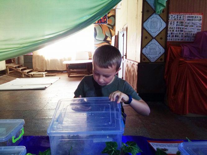 Новини Козятина - фото з Зі столиці привезли тропічних метеликів та 14 велетенських павуків (ФОТО) Зі столиці привезли тропічних метеликів та 14 велетенських павуків (ФОТО), фото №7 на сайті 20minut.ua