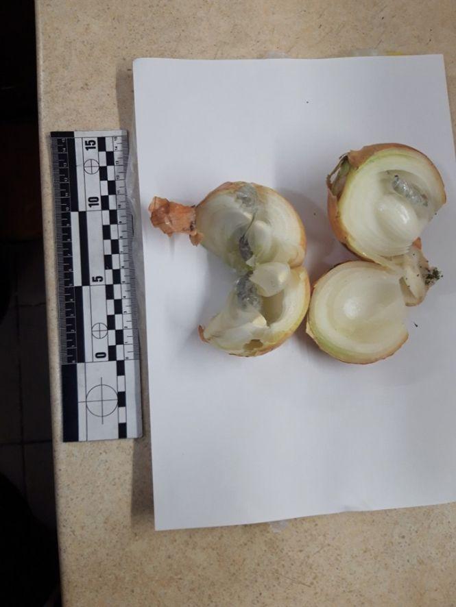 Запхали у цибулю: як до хмельницького СІЗО намагалися наркотики передати (ФОТО), фото №1 на сайті vsim.ua