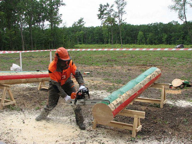 Новини Вінниці - фото з Змагання вальників лісу 2019: як проходило та хто переміг Змагання вальників лісу 2019: як проходило та хто переміг, фото №5 на сайті 20minut.ua