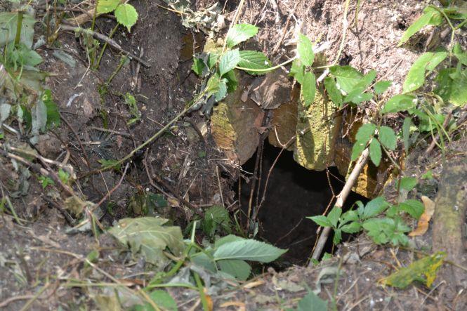 Генерали, відомі лікарі та китайці: хто спочиває на старому кладовищі у Хмельницькому, фото №5 на сайті vsim.ua
