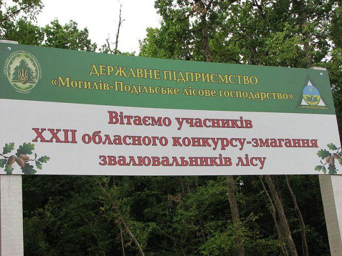 Новини Вінниці - фото з Змагання вальників лісу 2019: як проходило та хто переміг Змагання вальників лісу 2019: як проходило та хто переміг, фото №1 на сайті 20minut.ua