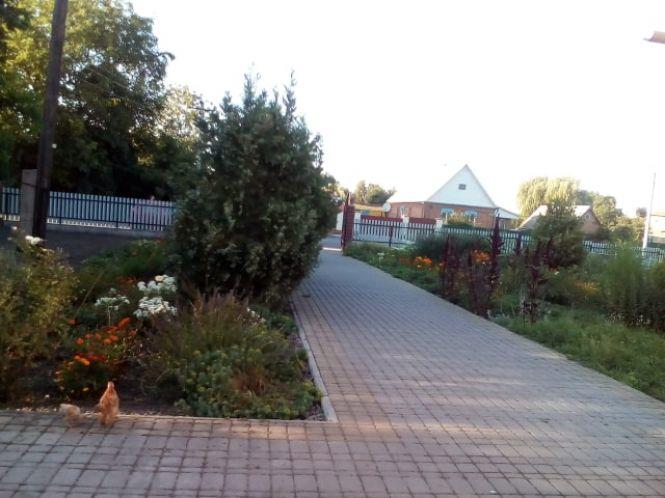 Новини Козятина - фото з Як оновлюють територію храму святого Луки в селі Козятин Як оновлюють територію храму святого Луки в селі Козятин, фото №1 на сайті 20minut.ua