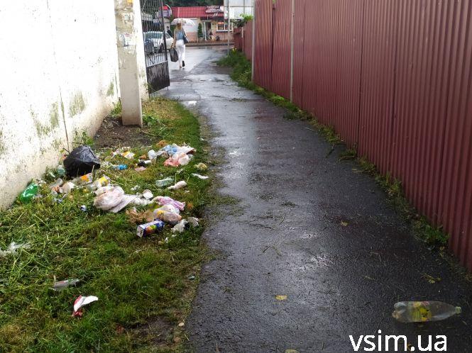 Сміттєві майданчики у Хмельницькому масово перетворюють на стихійні звалища, фото №9 на сайті vsim.ua