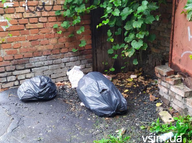 Сміттєві майданчики у Хмельницькому масово перетворюють на стихійні звалища, фото №7 на сайті vsim.ua