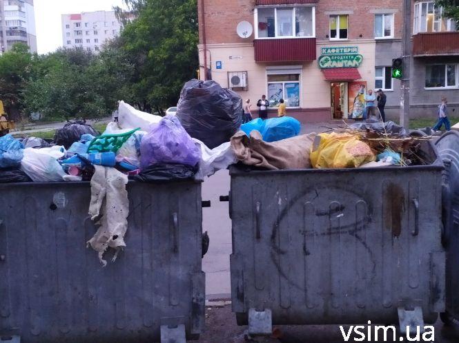 Сміттєві майданчики у Хмельницькому масово перетворюють на стихійні звалища, фото №3 на сайті vsim.ua