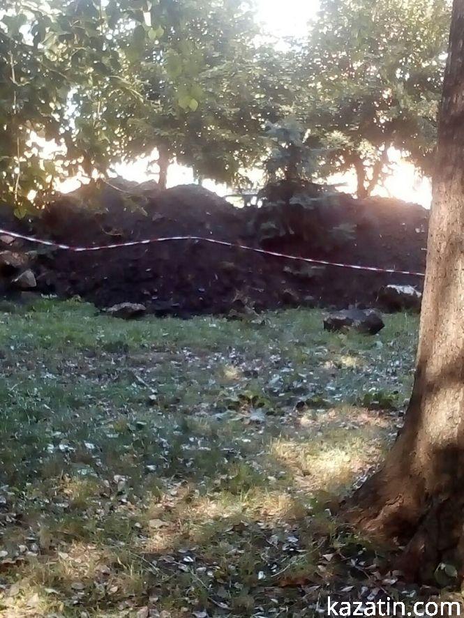 Фото дня: зламані ялинки та «швидка» на металобрухт, фото №4 на сайті 20minut.ua