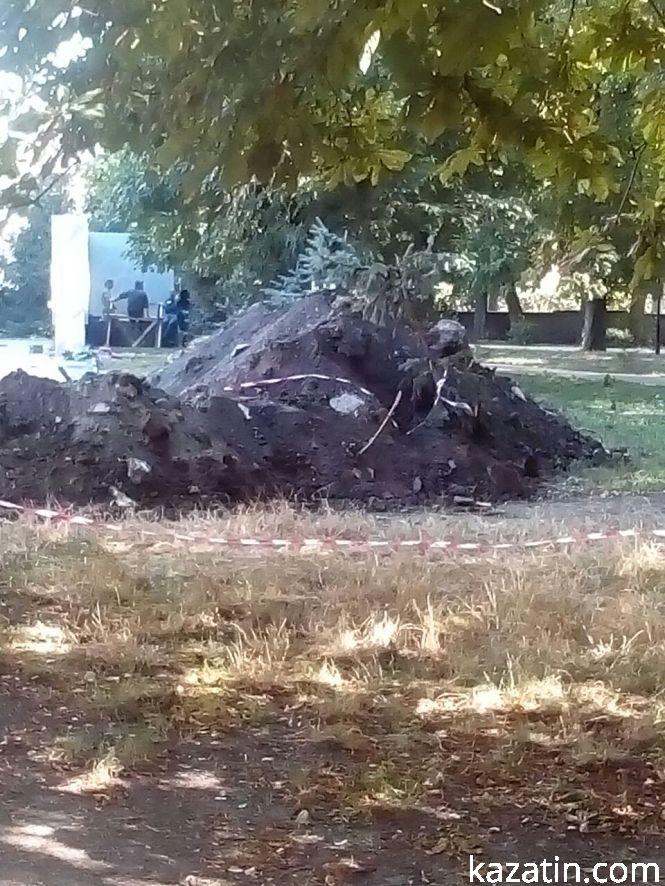 Фото дня: зламані ялинки та «швидка» на металобрухт, фото №3 на сайті 20minut.ua