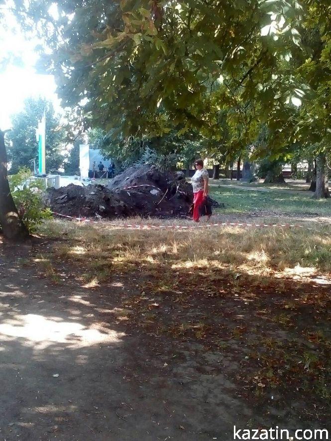 Фото дня: зламані ялинки та «швидка» на металобрухт, фото №2 на сайті 20minut.ua