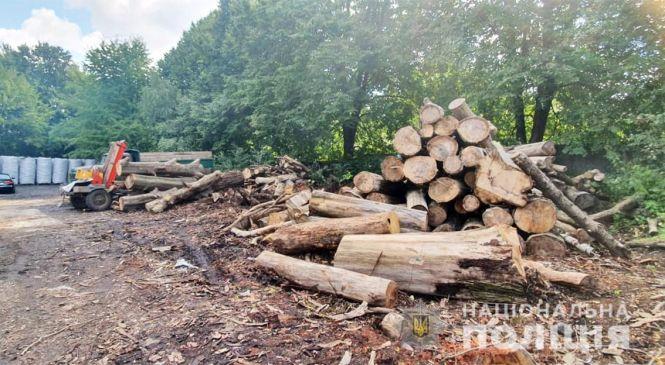 Забруднювали усе навколо. На Хмельниччині виявили підпільний цех із виготовлення вугілля, фото №2 на сайті vsim.ua