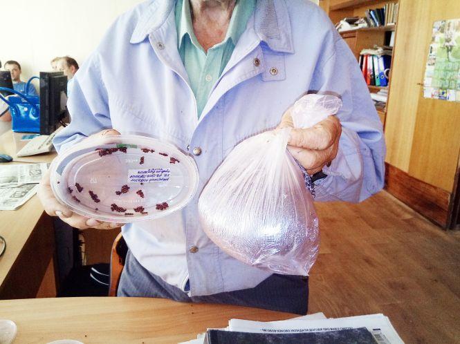 «Геть з магазину, насіння не може так скоро зійти!», фото №1 на сайті 20minut.ua