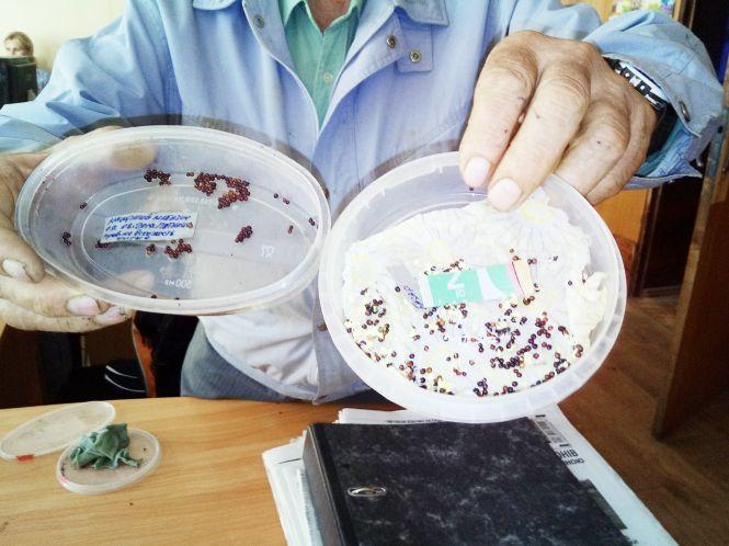 «Геть з магазину, насіння не може так скоро зійти!», фото №2 на сайті 20minut.ua