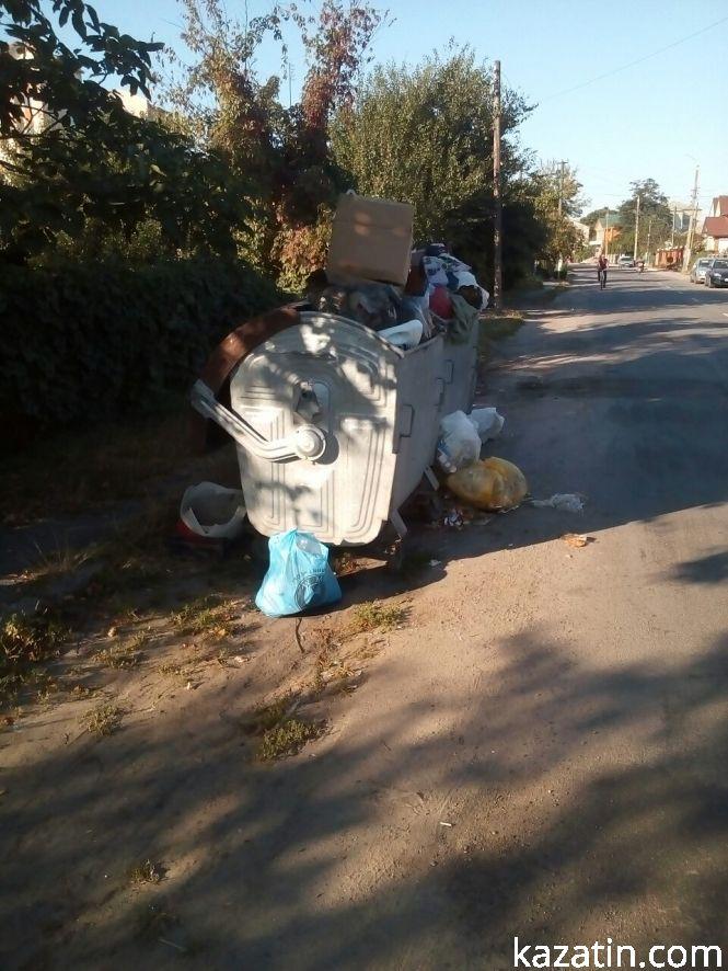 Новини Козятина - фото з Фото дня: переповнені контейнери по вулиці Незалежності Фото дня: переповнені контейнери по вулиці Незалежності, фото №1 на сайті 20minut.ua