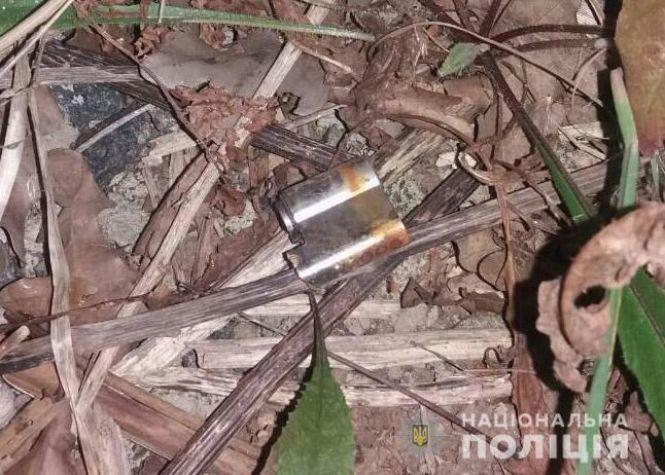 Вінничанин «шукав» неслухняного кота. За це може сісти на сім років у тюрму, фото №3 на сайті 20minut.ua