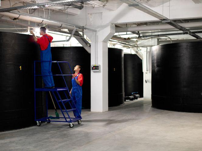 Новини Вінниці - фото з У Жмеринці вирощують королівських креветок У Жмеринці вирощують королівських креветок, фото №1 на сайті 20minut.ua