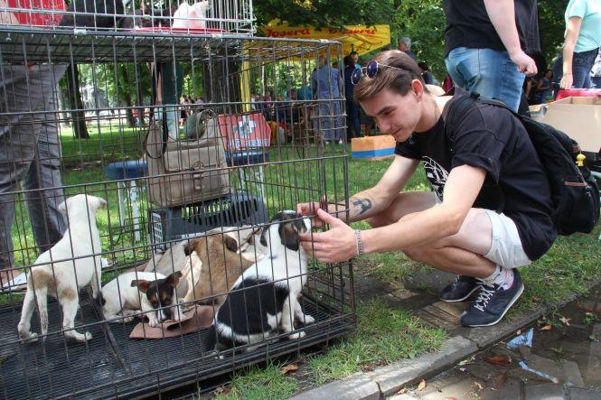 Новини Вінниці - фото з Куди йти у Вінниці у День Незалежності: афіша заходів Куди йти у Вінниці у День Незалежності: афіша заходів, фото №4 на сайті 20minut.ua