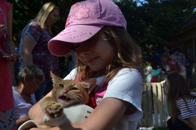 Новини Вінниці - фото з Пухнастий настрій на «Хвіст-фест»: біля вежі вп'яте шукали нових власників для тварин Пухнастий настрій на «Хвіст-фест»: біля вежі вп'яте шукали нових власників для тварин, фото №3 на сайті 20minut.ua