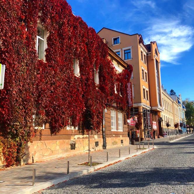 Тернополяни ловлять на фото останні сонячні дні (ТОП-10 фото з Instagram), фото №10 на сайті 20minut.ua