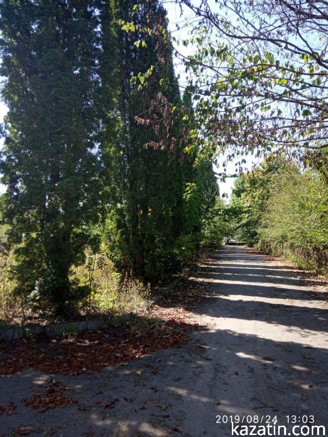 Новини Козятина - фото з Фото дня: у Блажіївці школу «розбомбили» і без війни Фото дня: у Блажіївці школу «розбомбили» і без війни, фото №5 на сайті 20minut.ua