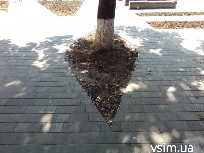 Новини Хмельницького - фото з Оновлення Бандери: новий асфальт і сквер за 6,5 мільйона (ФОТО, ВІДЕО) Оновлення Бандери: новий асфальт і сквер за 6,5 мільйона (ФОТО, ВІДЕО), фото №4 на сайті vsim.ua