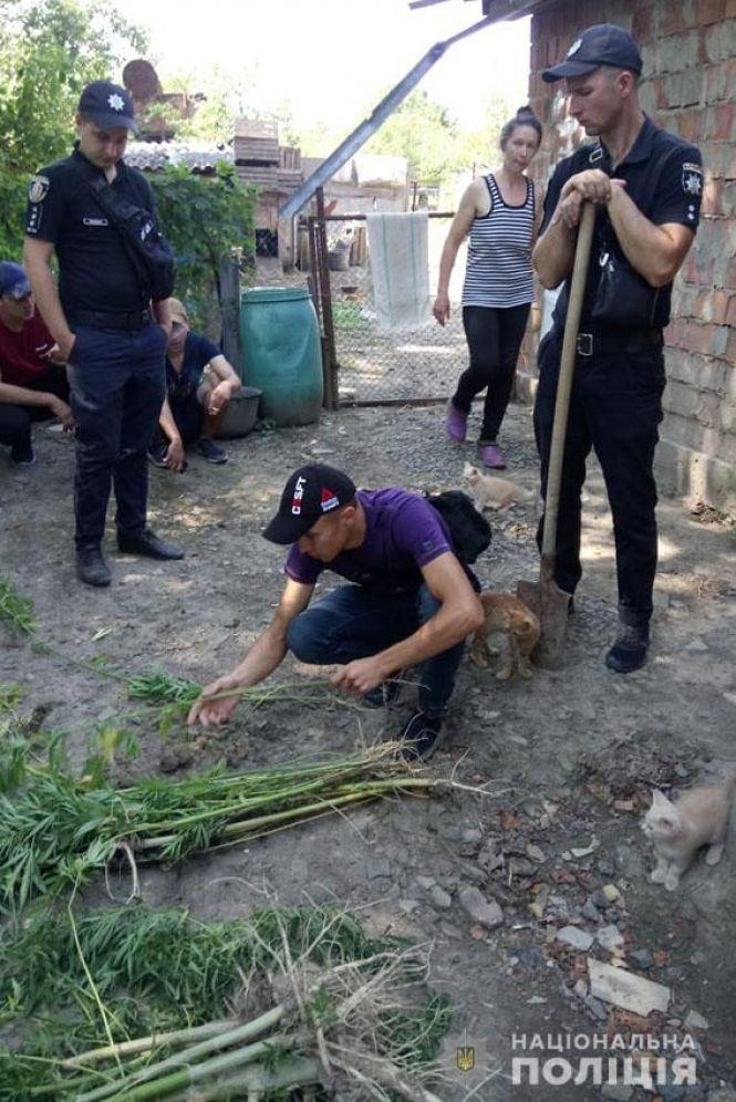"Садівник зі стажем". На Віньковеччині чоловік засіяв город коноплею, фото №1 на сайті vsim.ua