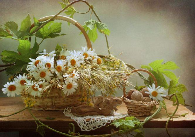 Горіховий Спас: як правильно відзначати та що не можна робити, фото №1 на сайті 20minut.ua