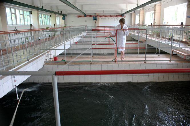 Новини Вінниці - фото з Майно обласних «Водоканалу» і «Теплоенерго» хочуть передати на баланс Вінниці Майно обласних «Водоканалу» і «Теплоенерго» хочуть передати на баланс Вінниці, фото №1 на сайті 20minut.ua