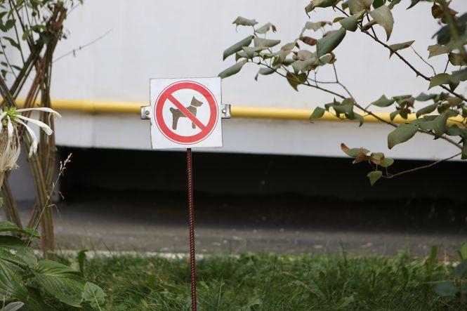 В одній з багатоповерхівок встановили контейнери з пакетами для прибирання за собаками, фото №4 на сайті 20minut.ua