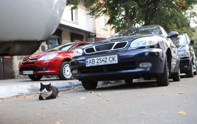 Новини Вінниці - фото з Нові правила паркування. Три речі, які з’являться у Вінниці вже цієї осені Нові правила паркування. Три речі, які з’являться у Вінниці вже цієї осені, фото №3 на сайті 20minut.ua