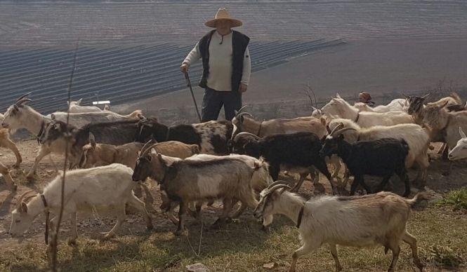 Новини Вінниці - фото з «Дивлюся – біля воріт вовк стоїть». Хижаки заходять в села навіть вдень. Навколо Вінниці їх не видно «Дивлюся – біля воріт вовк стоїть». Хижаки заходять в села навіть вдень. Навколо Вінниці їх не видно, фото №1 на сайті 20minut.ua