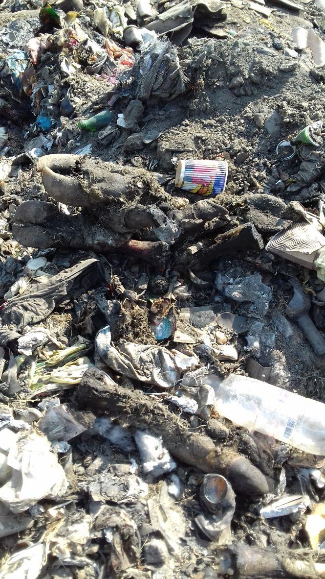 У Махнівці три дні горів смітник, а голова каже людям: «Як ви дістали!», фото №1 на сайті 20minut.ua