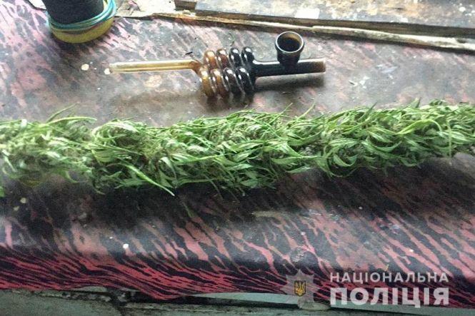 У Хмельницькому чоловік вирощував коноплю на власному городі, фото №2 на сайті vsim.ua