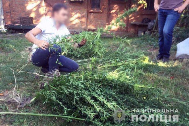 У Хмельницькому чоловік вирощував коноплю на власному городі, фото №1 на сайті vsim.ua