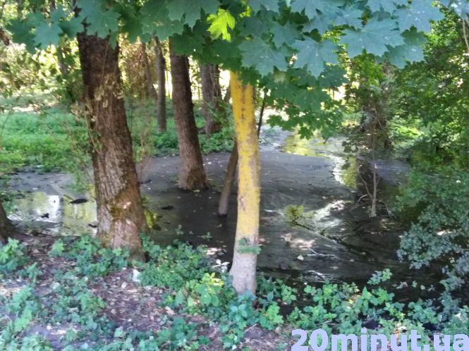 Новини Тернополя - фото з Тернополяни занепокоєні, що мул з водойм у «Топільче» зливають неподалік у парку Тернополяни занепокоєні, що мул з водойм у «Топільче» зливають неподалік у парку, фото №2 на сайті 20minut.ua
