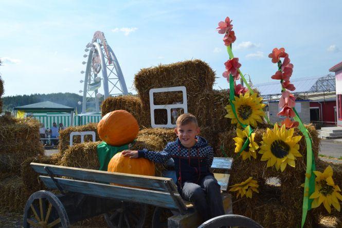 Пили настоянки й співали пісні: що було на Агро Поділля 2019 (ФОТО), фото №12 на сайті vsim.ua